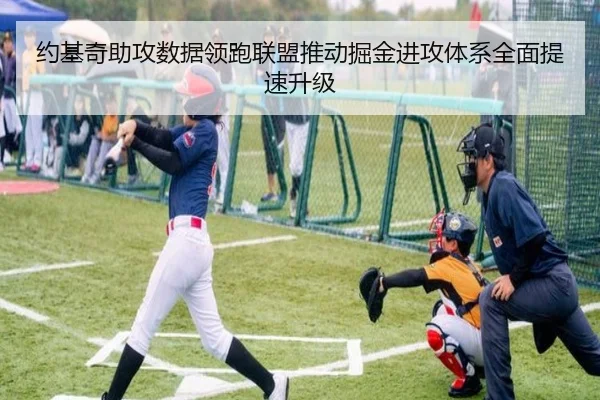约基奇助攻数据领跑联盟推动掘金进攻体系全面提速升级